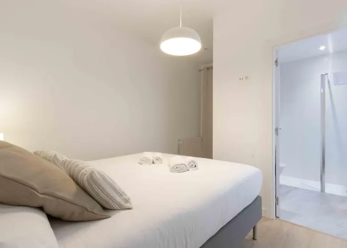 The Collection - Larramendi I * 산세바스티안